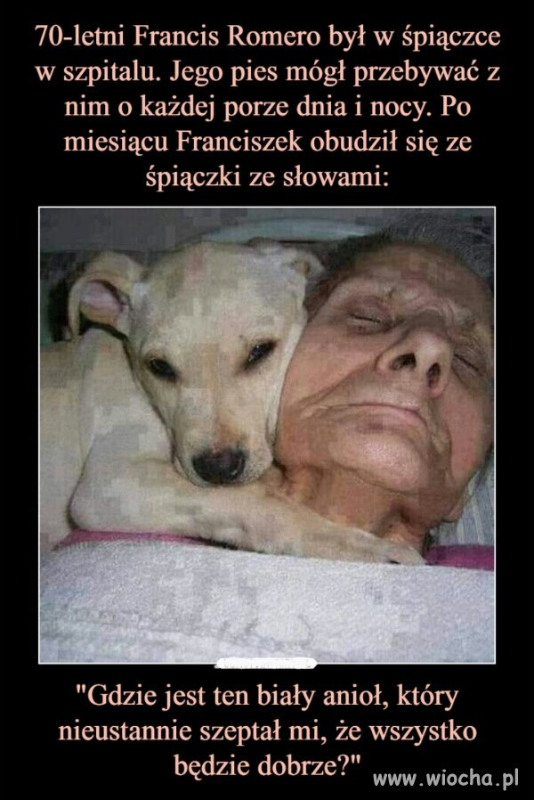 Z życia wzięte 