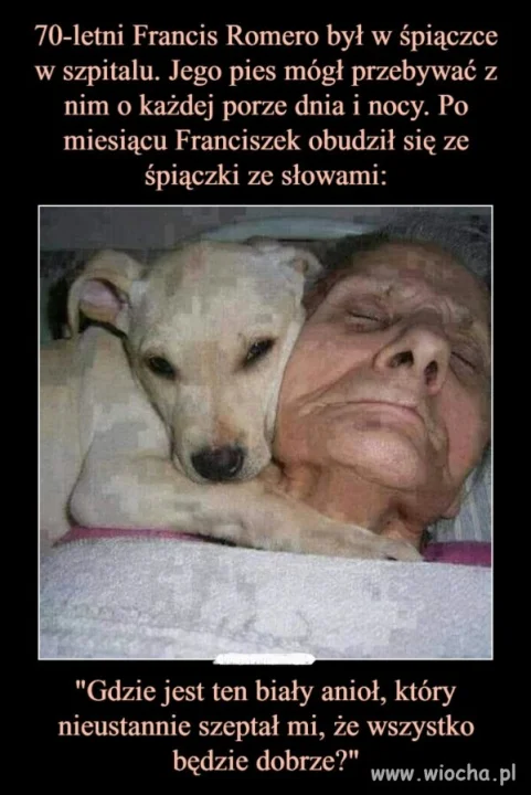 Z życia wzięte 