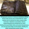 Odnaleziono biblię