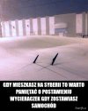 Gdy mieszkasz na Syberii