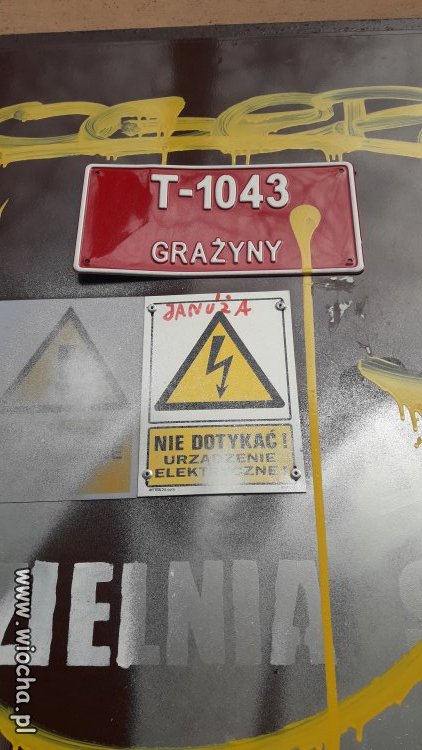 Grażyny 