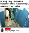 Rosja