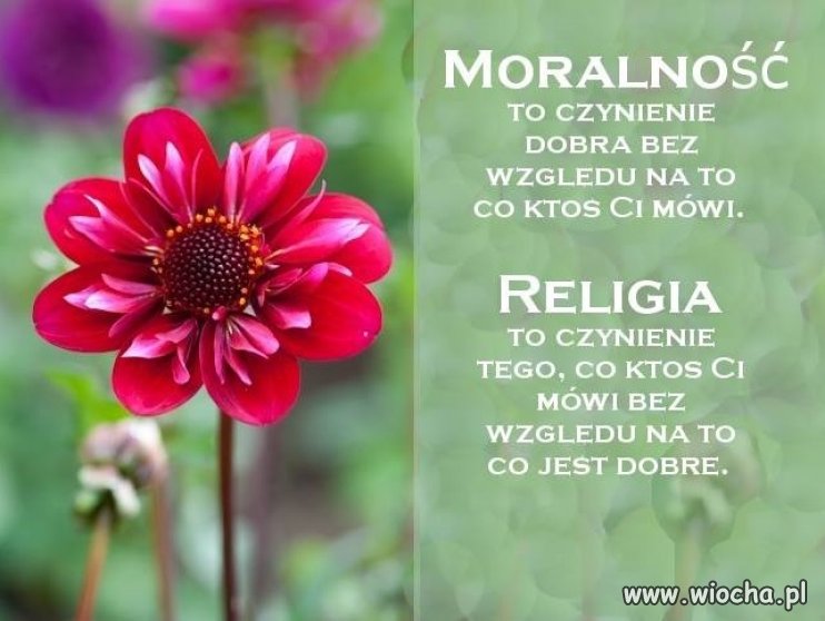 Warto być przyzwoitym ...