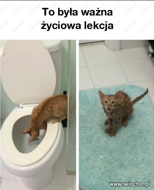 Lekcja na całe życie