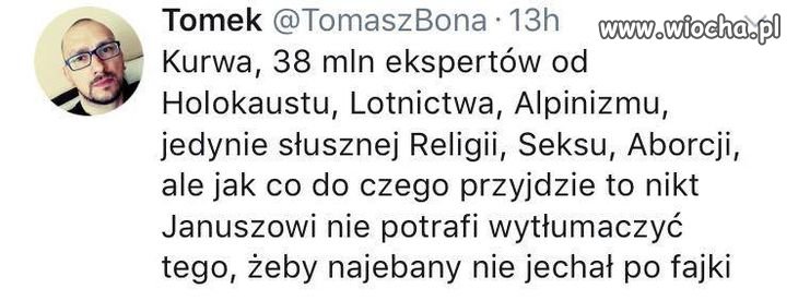 Coś w tym jest