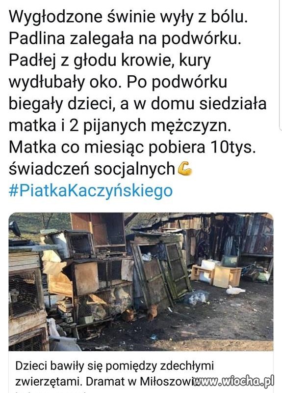 Może jeszcze któryś dostanie 13