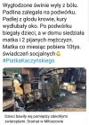 Może jeszcze któryś dostanie 13