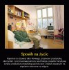 Skandynawia