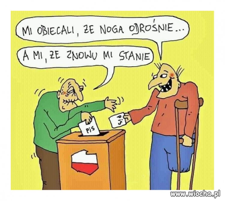 Kiełbasa wyborcza...