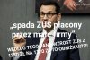 Pinokio daje czadu
