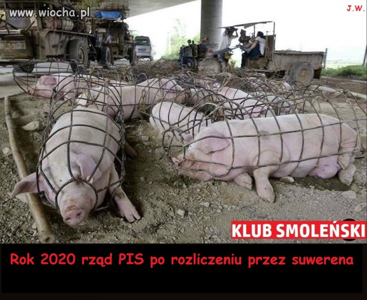 Piękna perspektywa