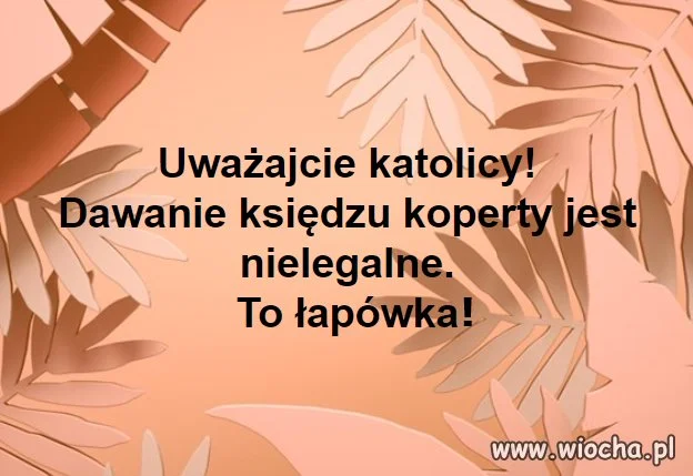 I to wszystko dzięki Janosikowi II