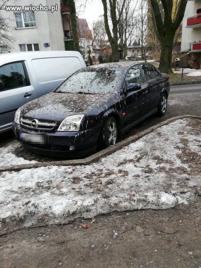 To się nazywa, mieć przesrane