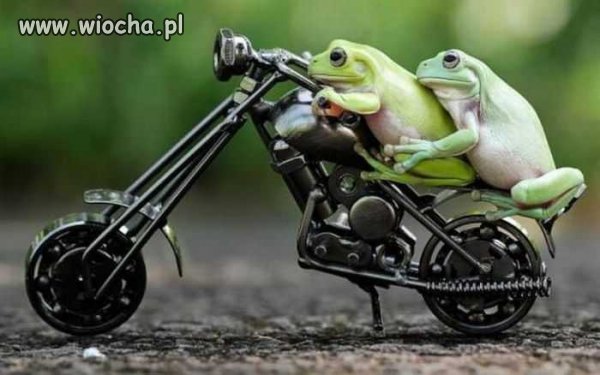 Rockers.