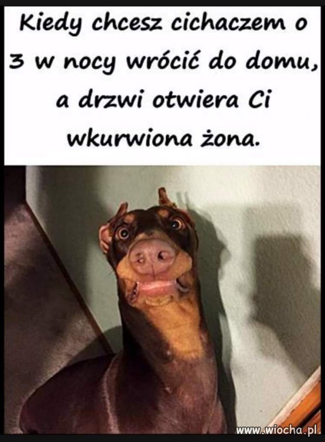 Ciężkie powroty 