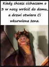 Ciężkie powroty 