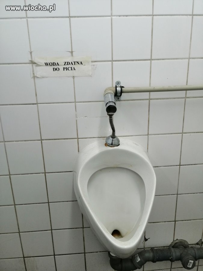 Źródełko