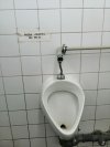Źródełko