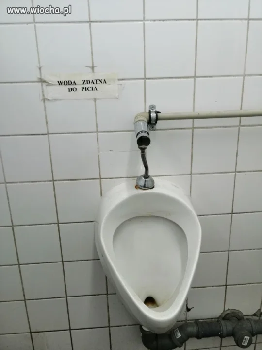 Źródełko