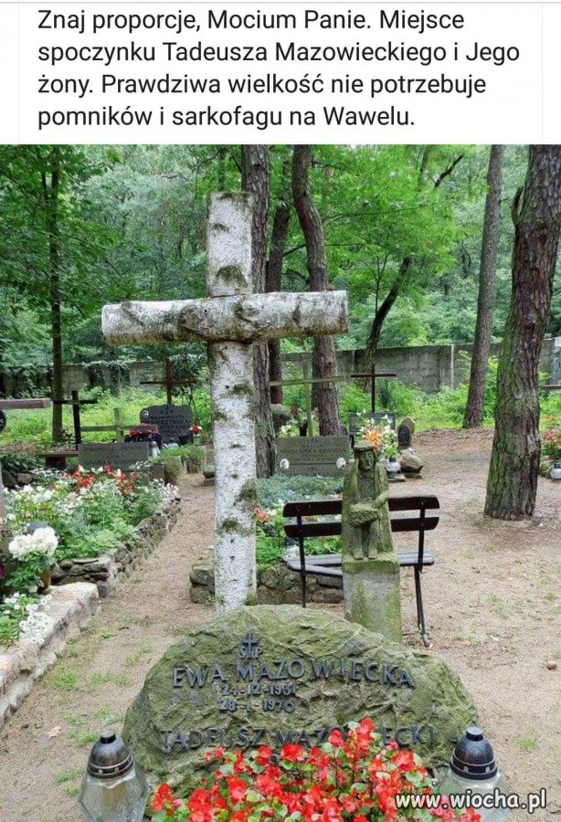 Właśnie tak.