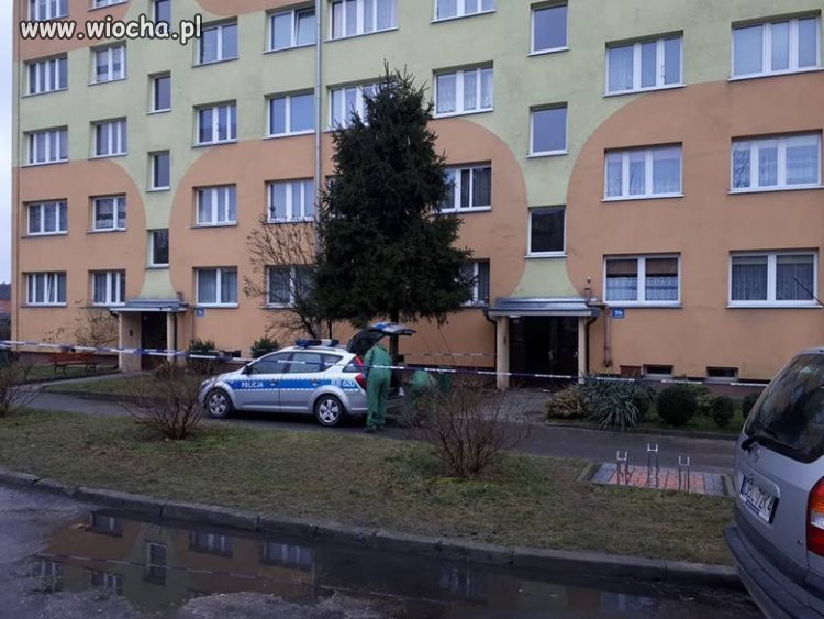 Szok w Bolesławcu,dolnośląskie