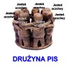 Drużyna Pierścienia
