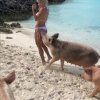 Plaża tylko dla świń