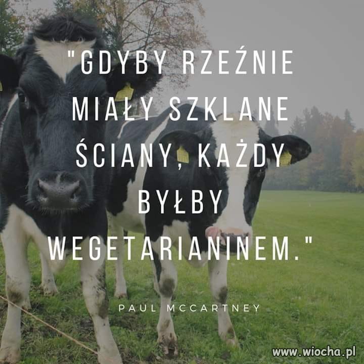 Taka sobie myśl.