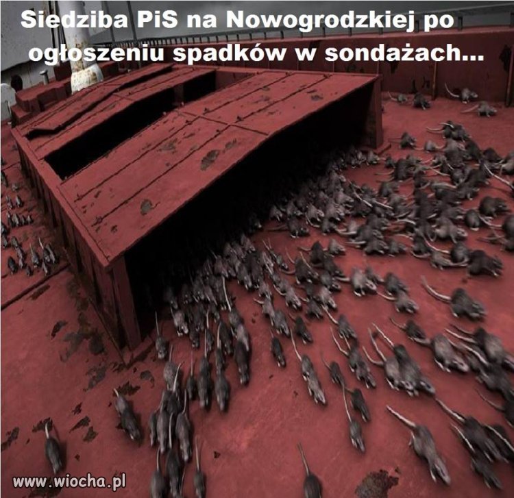 Tym czasem w siedzibie pis