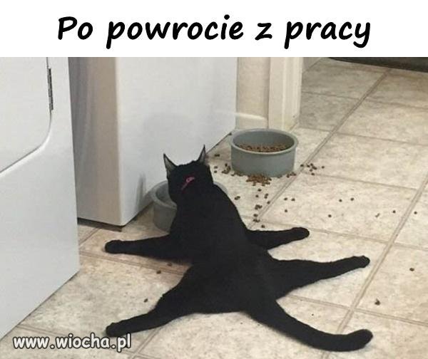 Po pracy 