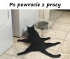 Po pracy 