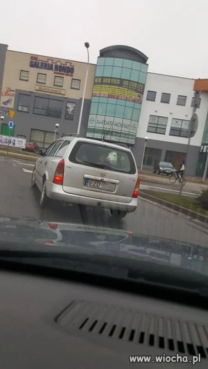 W Sieradzu