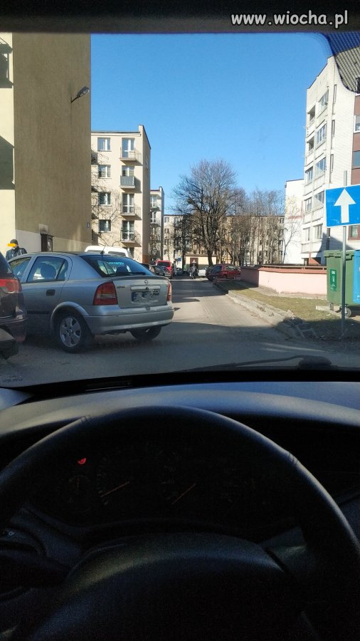 Mistrz parkowania