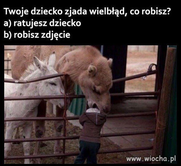 Co wybierasz?