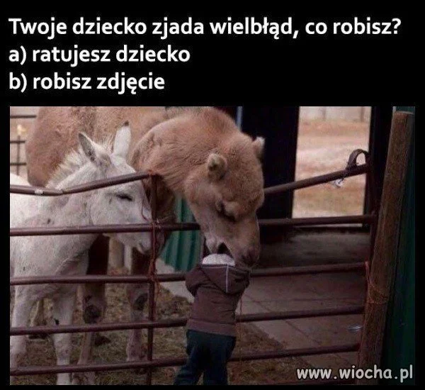 Co wybierasz?