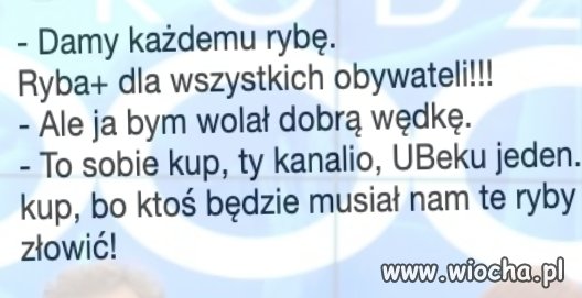 Projekt
