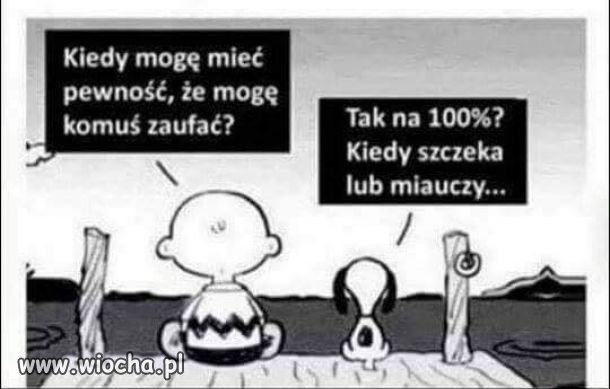 Komu można zaufać?