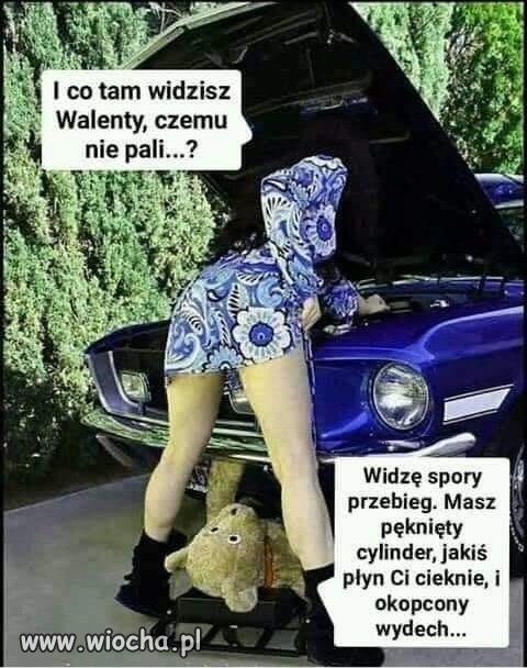 W serwisie...