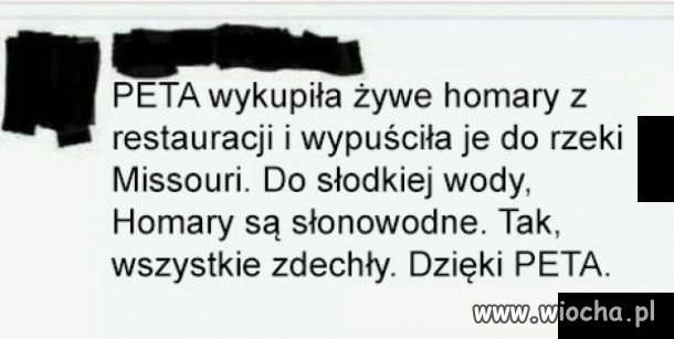 To się nazywa