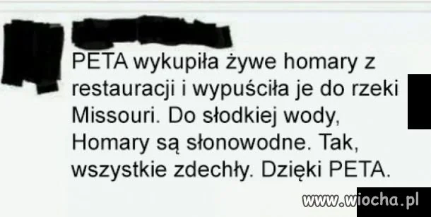 To się nazywa