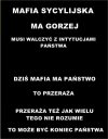 Ja tam krakać nie chcę ale idziemy