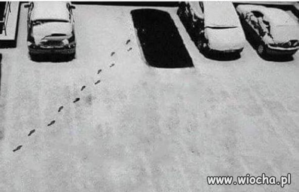"Somsiad" pojechał