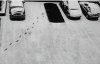 "Somsiad" pojechał