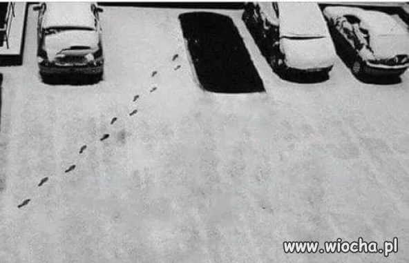 "Somsiad" pojechał