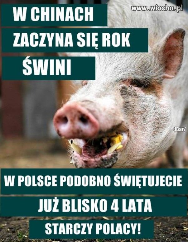 Na jesieni jedziemy z tym ścierwem do Bakutilu !