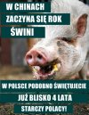 Na jesieni jedziemy z tym ścierwem do Bakutilu !