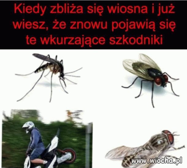 Sezon uważam za otwarty