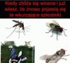 Sezon uważam za otwarty