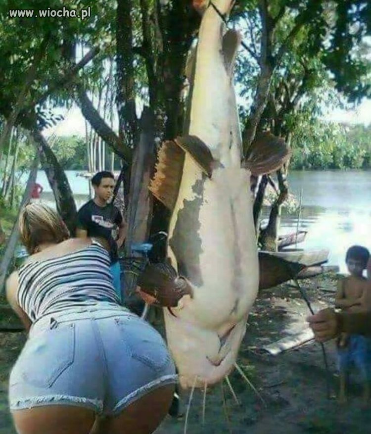 Co to za ryba...?