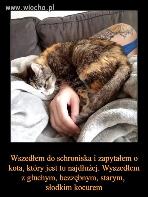 Otóż to. 